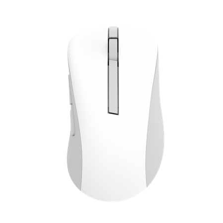 Asus Wireless Mouse | MD102 | Mouse | 2.4 GHz, Bluetooth | White