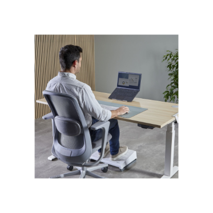 Fellowes Alumia Portable Laptop Stand - Silver | Fellowes