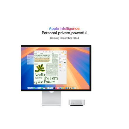 Apple Mac | Mini | Desktop | Apple M4 | Internal memory 16 GB | Solid-state drive capacity 512 GB | No Optical Drive | Keyboard language No keyboard | macOS