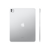 Apple 13-inch iPad Pro M5 Wi-Fi 512GB with standard glass - Silver | Apple