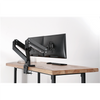 Digitus Desk Mount | DA-90427 | Adjustable Height, Rotate, Tilt, Swivel | 15-35 " | Maximum weight (capacity) 2x15 kg | Black