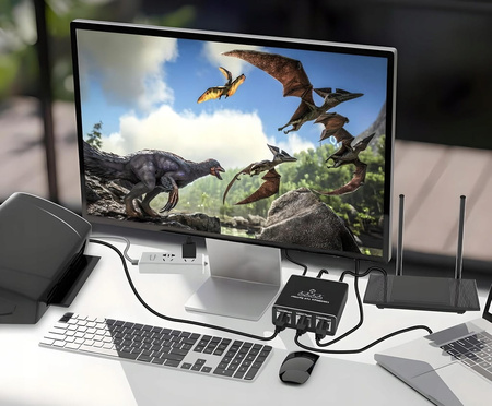 SPLITTER LAN 1x4 ADAPTER ROZDZIELACZ SWITCH 2xRJ45 ETHERNET 1000Mb GIGABIT