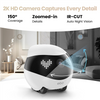 Enabot | Companion Robot | EBO AIR 2 | Compact | Maximum Memory Support 256G