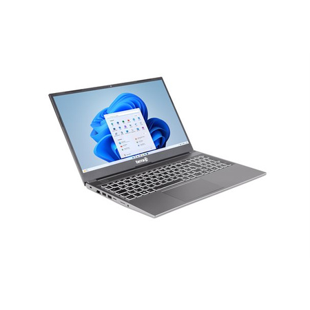 TERRA MOBILE 1517 i5-1235U W11 -US