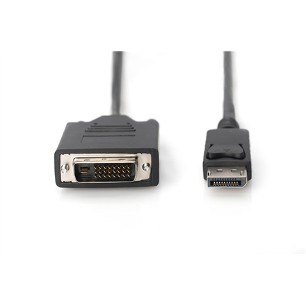 Digitus Adapter Cable, DP - DVI | DisplayPort | 2 m