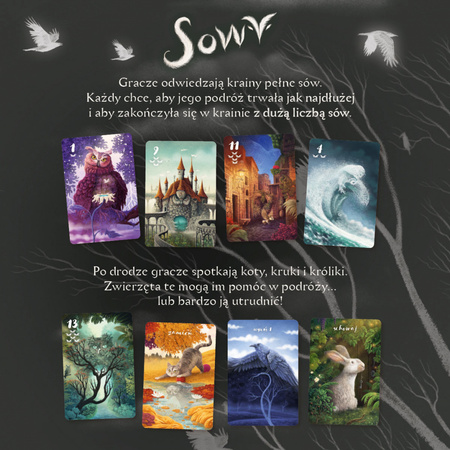 GRA SOWY - NASZA KSIĘGARNIA