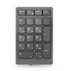 Lenovo Professional Go Wireless Numeric Keypad Numeric Keypad Wireless N/A Storm Grey