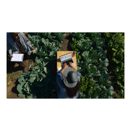 Apple MacBook | Pro | Silver | 16 " | 3456 x 2234 pixels | Apple M4 Max | 36 GB | Solid-state drive capacity 1000 GB | Apple M4 Max chip 14-core CPU/32-core GPU | macOS | 802.11ax | Bluetooth version 5.3 | Keyboard language English | Keyboard backlit | Wa