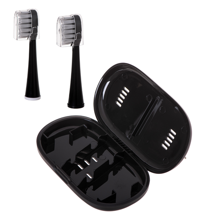 Adler 2-in-1 Water Flossing Sonic Brush | AD 2180b | Rechargeable | For adults | Number of brush heads included 2 | Number of teeth brushing modes 1 | Black