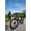 Lancia Genio E-Bike, City E-Bike, Motor power 250 W, Wheel size 27.5 ", Warranty 24 month(s), Silver