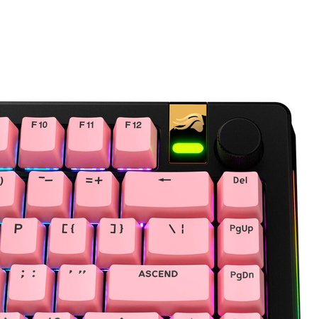   Glorious GPBT Basics Keycaps, układ ANSI (USA), PBT, Doubleshot – przyciski różowe 