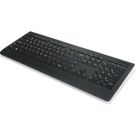 Lenovo Professional Professional Wireless Keyboard - US English with Euro symbol Standard Wireless US English Numeric keypad 700 g Black Wireless connection