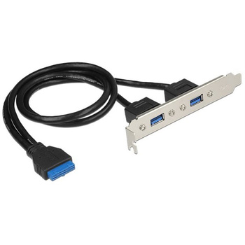 Delock Slotblech 2x USB3.0 extern