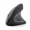 Gembird MUSW-ERGO-01 2.4GHz Wireless Optical Mouse, USB, Wireless connection, Black