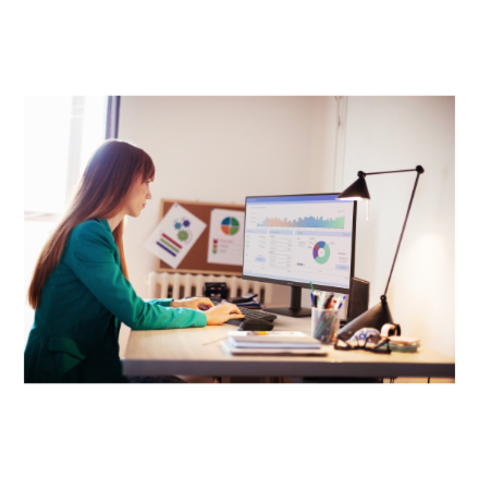 Philips | 24E2N1110/00 | 24 " | IPS | FHD | 16:9 | 120 Hz | 4 ms | 1920 x 1080 pixels | 300 cd/m² | HDMI ports quantity 1 | Black