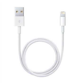 Apple Lightning to USB Cable (1m)