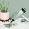 Remington Hair Dryer | AC5860 Botanicals | 2300 W | Number of temperature settings 3 | Ionic function | Diffuser nozzle | Silver