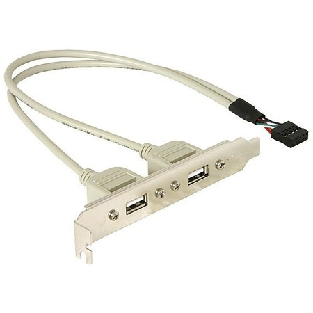 Delock Slotblech 2x USB2.0 extern