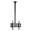 EDBAK Ceiling Mount With Height Adjustment Ceiling mount, CMS21, 40-75 ", Maximum weight (capacity) 60 kg, 	Black