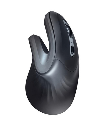 Mysz Trust Verro Wireless Ergonomic (23507) | Trust
