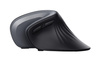 Mysz Trust Verro Wireless Ergonomic (23507) | Trust