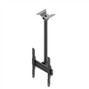 EDBAK Ceiling mount MBV1155-P 42-57 " Maximum weight (capacity) 70 kg 	Black