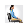 Fellowes Professional back support - Professional Series Fellowes
