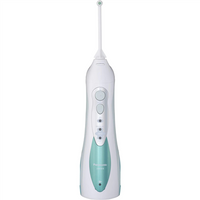 Panasonic Oral irrigator  EW1313G303  Cordless 130 ml Number of heads 2 White/Green