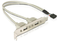 Delock Slotblech 2x USB2.0 extern