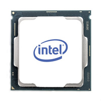 CPU Intel XEON Gold 6246R/16x3.4 GHz/35.75MB/205W