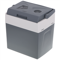 Adler Portable cooler AD 8078	 Energy efficiency class F, Chest, Free standing, Height 43.5 cm, Total net capacity 28 L, Grey